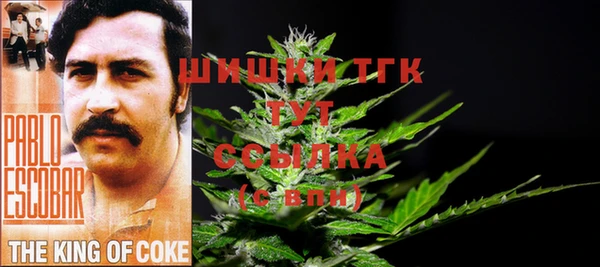 тгк Баксан