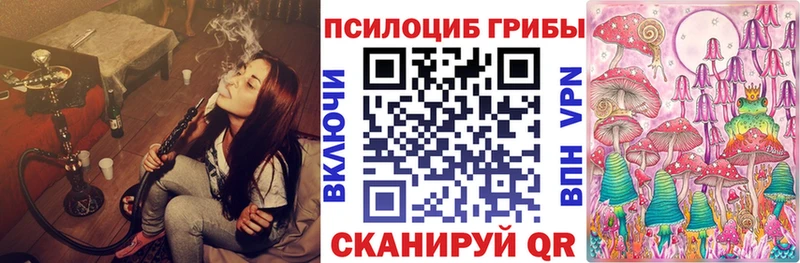 MEGA   Новый Уренгой  Псилоцибиновые грибы Psilocybine cubensis 