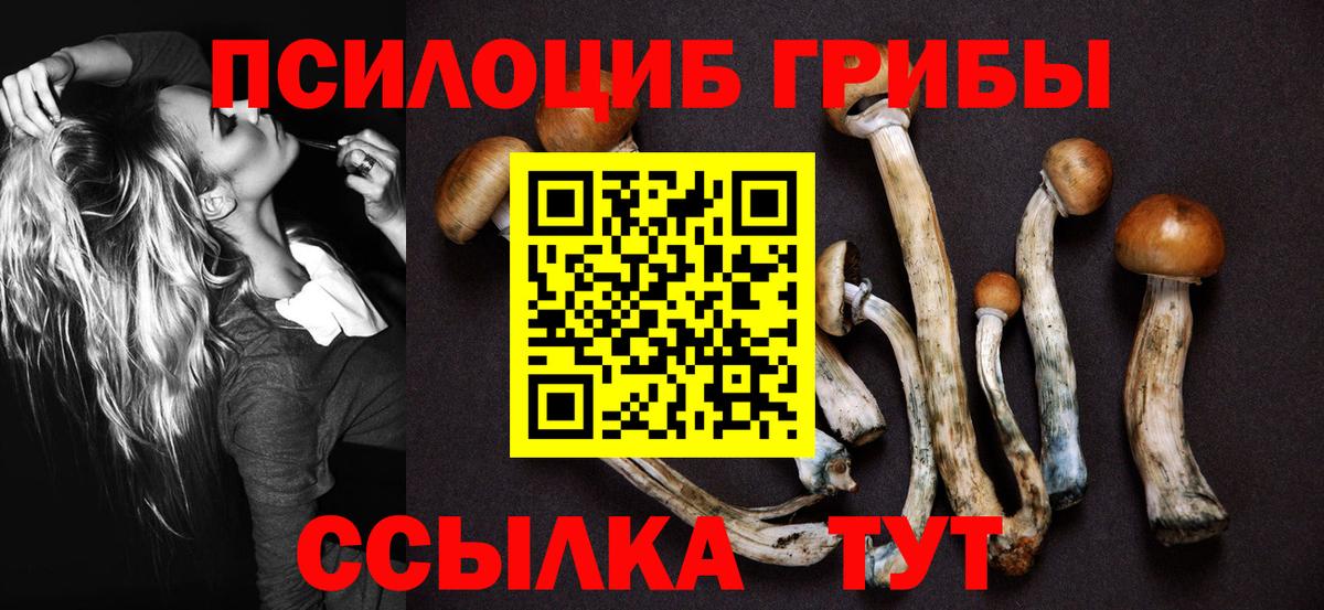 Новый Уренгой  Псилоцибиновые грибы Psilocybine cubensis  Вход с VPN 