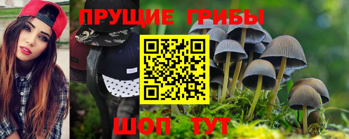 Псилоцибиновые грибы мицелий Новый Уренгой